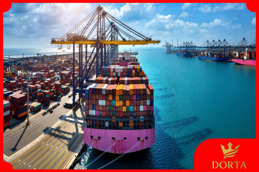 چرا پشتیبانی حرفهای در واردات ضروری است؟